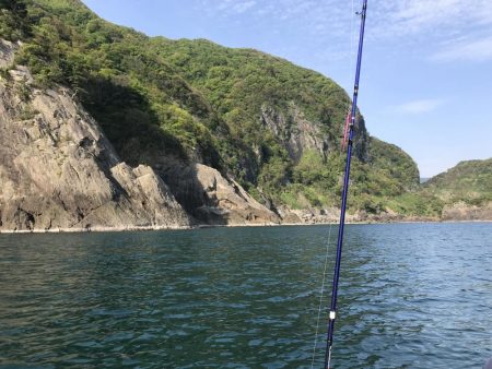 バラエティ豊か